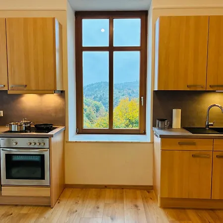 Hangstein Apartment, Adlerwarte-vogelpark-hermannsdenkmal-wanderwege Apartamento Detmold