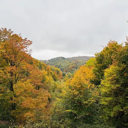 Hangstein Apartment, Adlerwarte-vogelpark-hermannsdenkmal-wanderwege Lägenhet