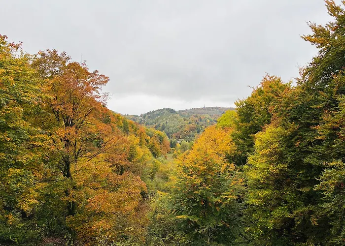 Hangstein Apartment, Adlerwarte-vogelpark-hermannsdenkmal-wanderwege Apartamento