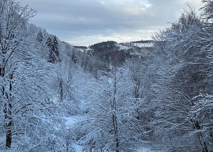 Hangstein Apartment, Adlerwarte-vogelpark-hermannsdenkmal-wanderwege Appartement
